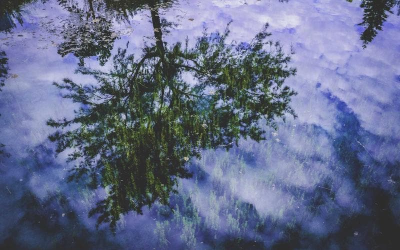 Why Peer Forums Outperform Traditional Training by 4x