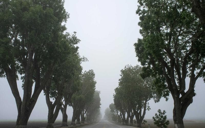 YPO for Everyone: Democratizing the World's Most Powerful Network